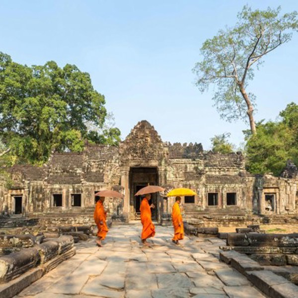 Cropped Image