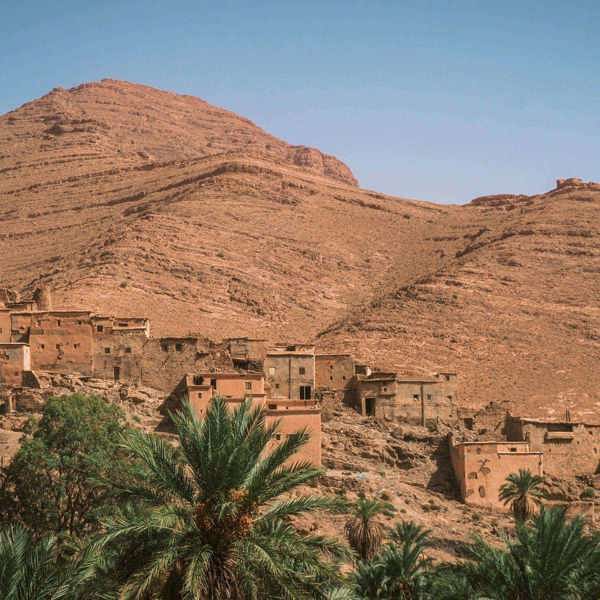 Cropped Image