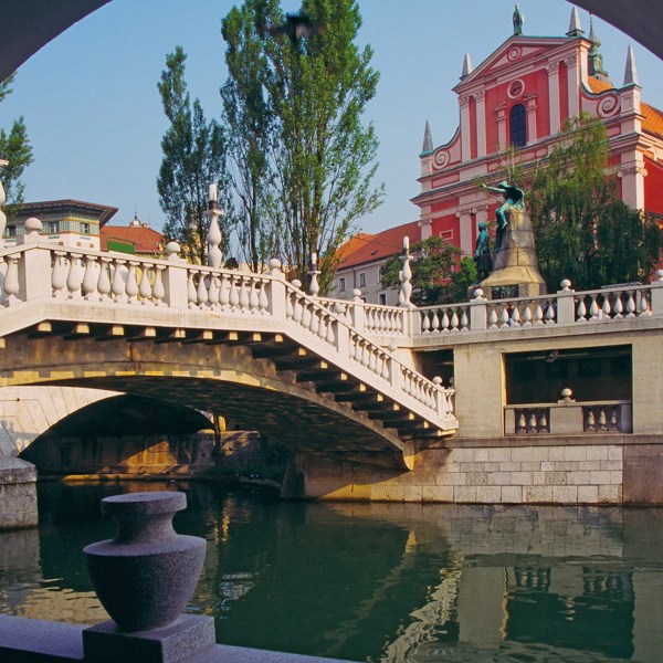 Cropped Image